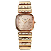 Titan Raga Glimmers Quartz Analog Women's watch with Rose Gold Dial and Rose Gold Metal Strap, 95339WM01